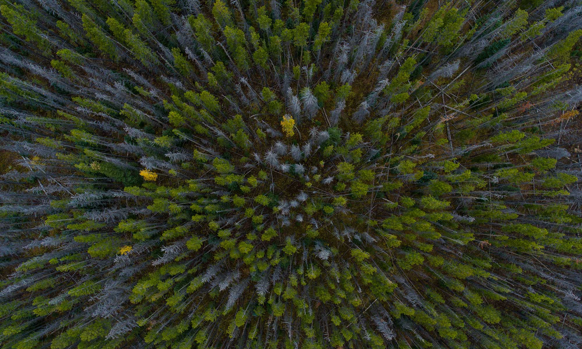 Drone Photo Photography Static Mobile Product Promotions Media